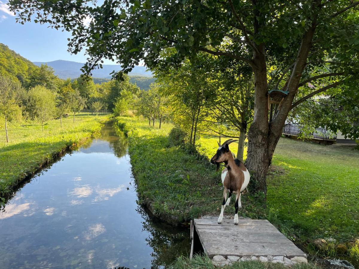 Soko Holiday Home Bihać 외부 사진